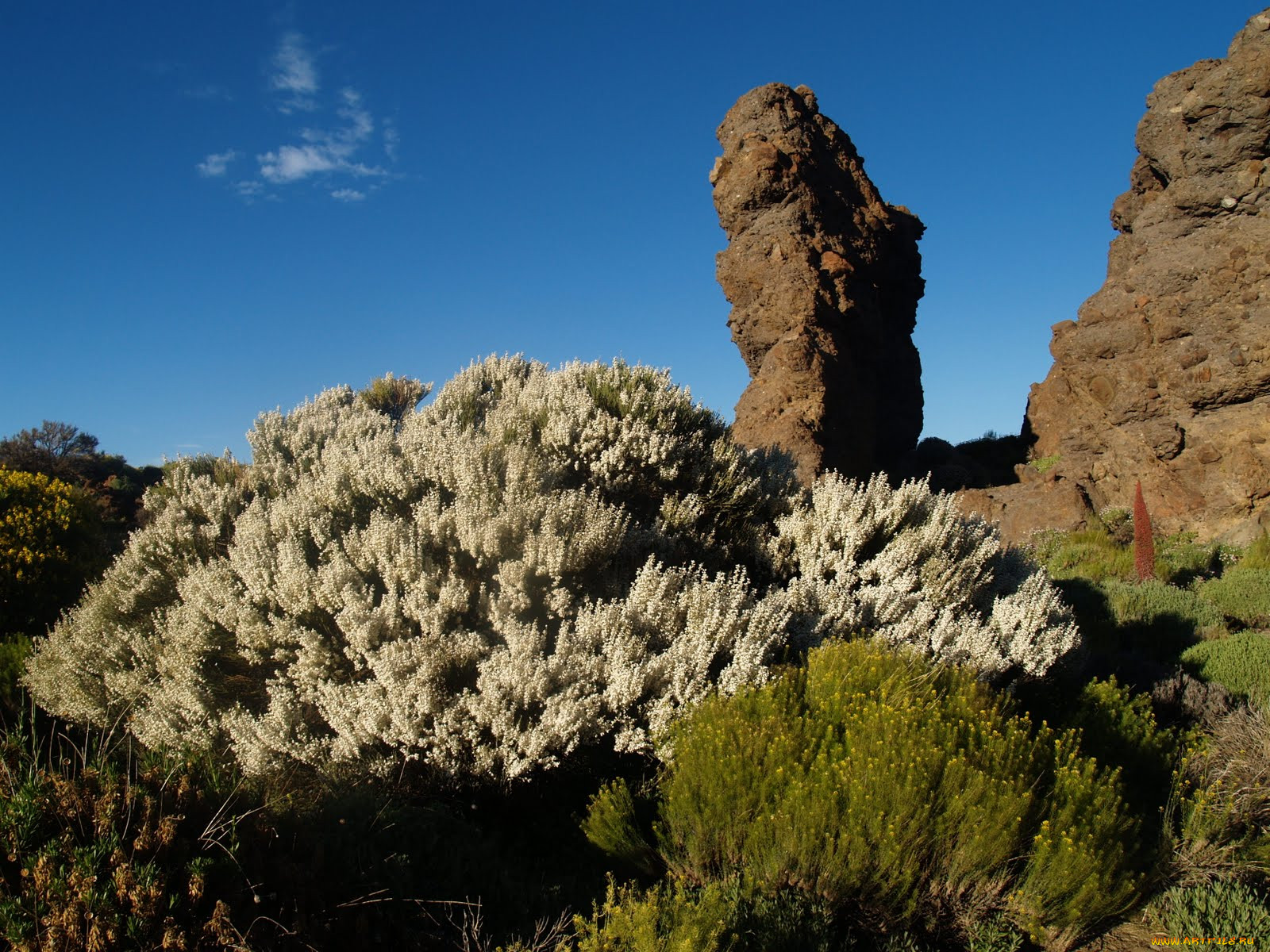 las, canadas, del, teide, , , 